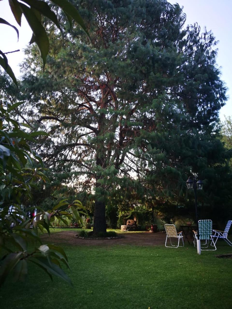 Villa El Mana à Bialet Massé Extérieur photo