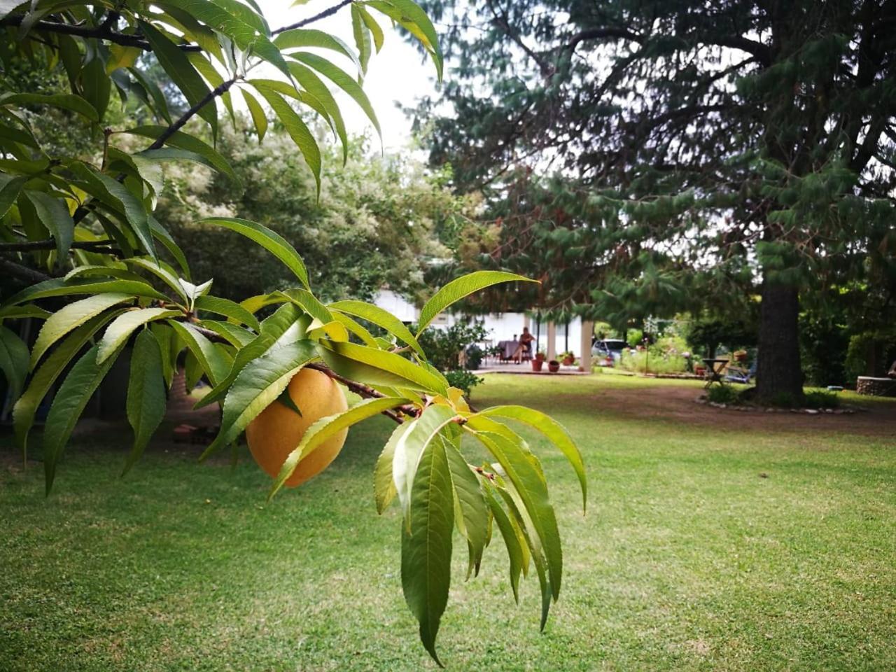 Villa El Mana à Bialet Massé Extérieur photo